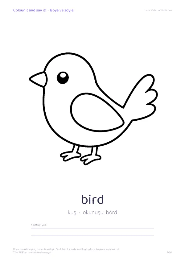 bird (kuş) boyama sayfası – İngilizce kelimeli, yazdırılabilir