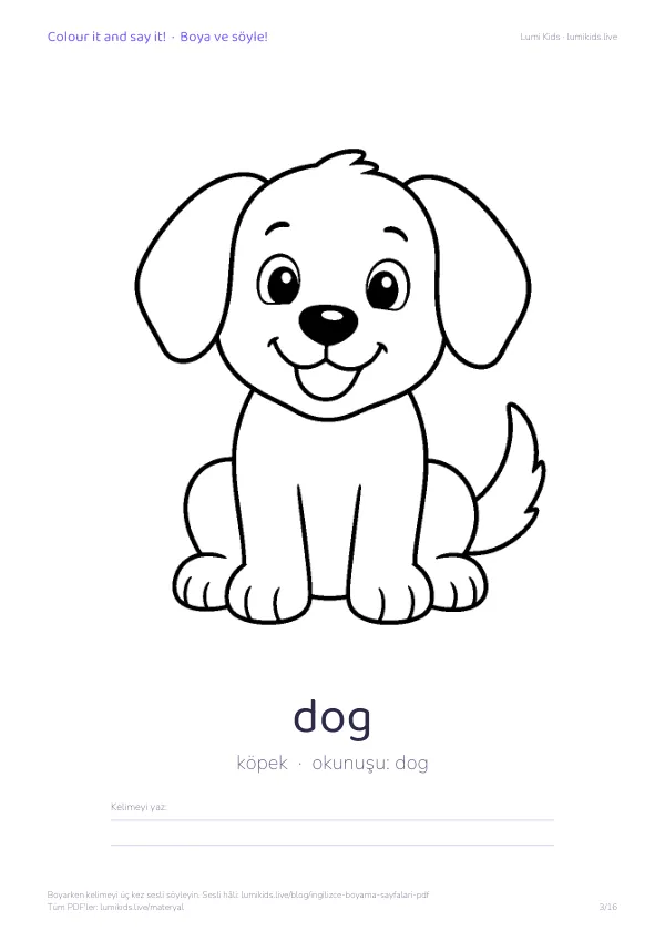 dog (köpek) boyama sayfası – İngilizce kelimeli, yazdırılabilir
