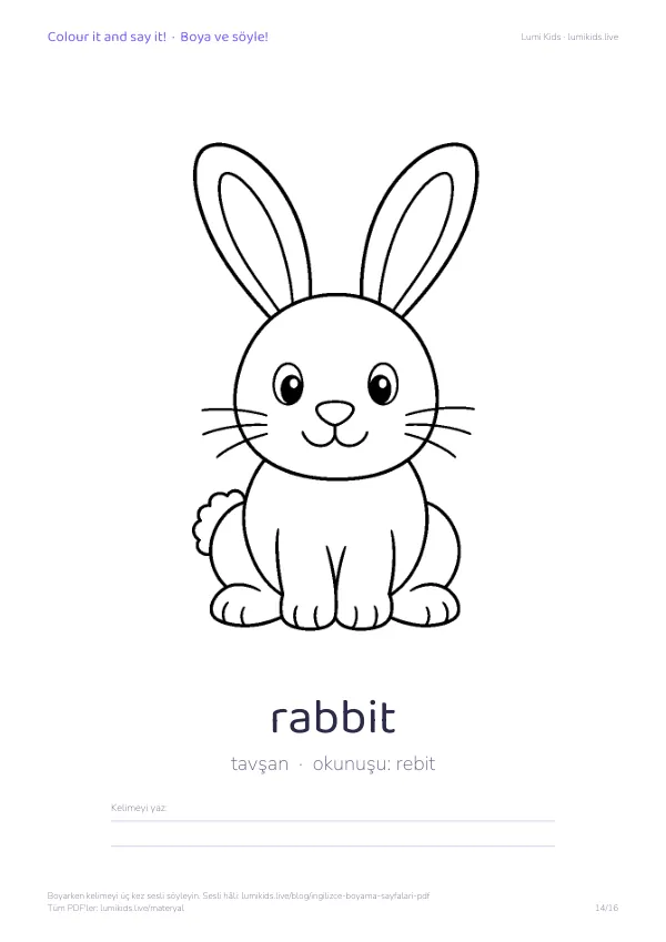 rabbit (tavşan) boyama sayfası – İngilizce kelimeli, yazdırılabilir