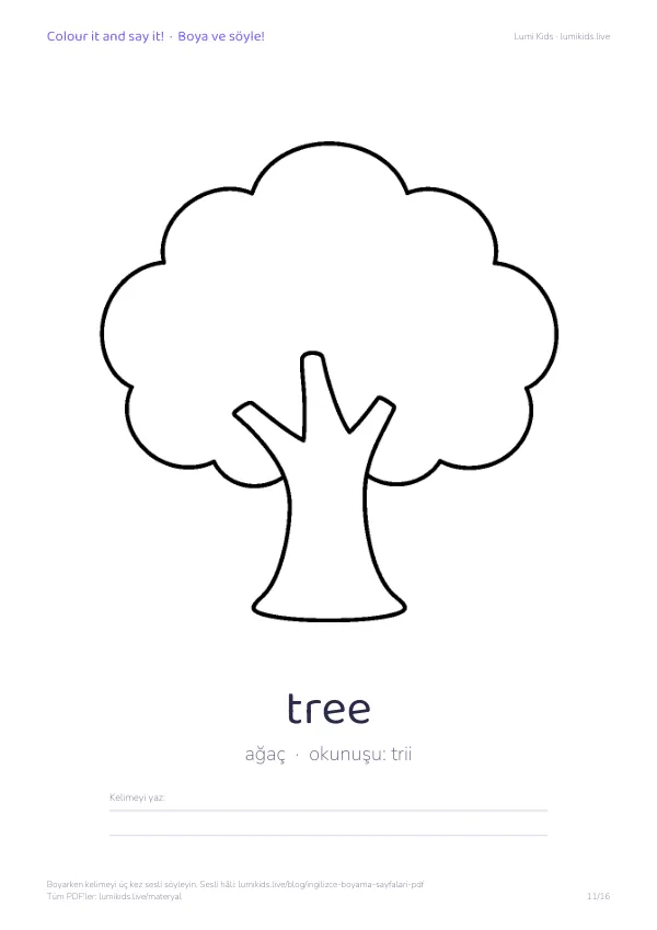 tree (ağaç) boyama sayfası – İngilizce kelimeli, yazdırılabilir