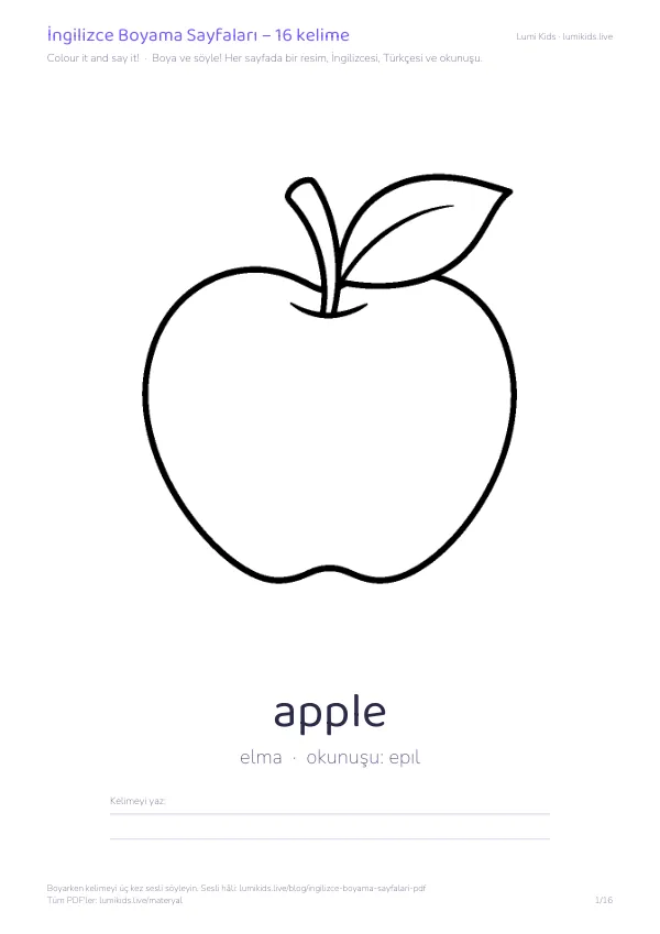 İngilizce Boyama Sayfaları PDF önizlemesi: apple (elma) boyama sayfası, kelime, Türkçesi ve okunuşu