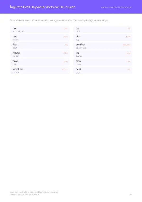İngilizce evcil hayvanlar kelime listesi, PDF 1. sayfa: pet, cat, dog ve Türkçe okunuşları
