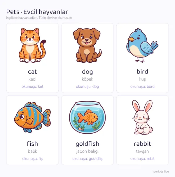 İngilizce evcil hayvanlar resimli tablo: cat kedi, dog köpek, bird kuş, fish balık, goldfish japon balığı, rabbit tavşan