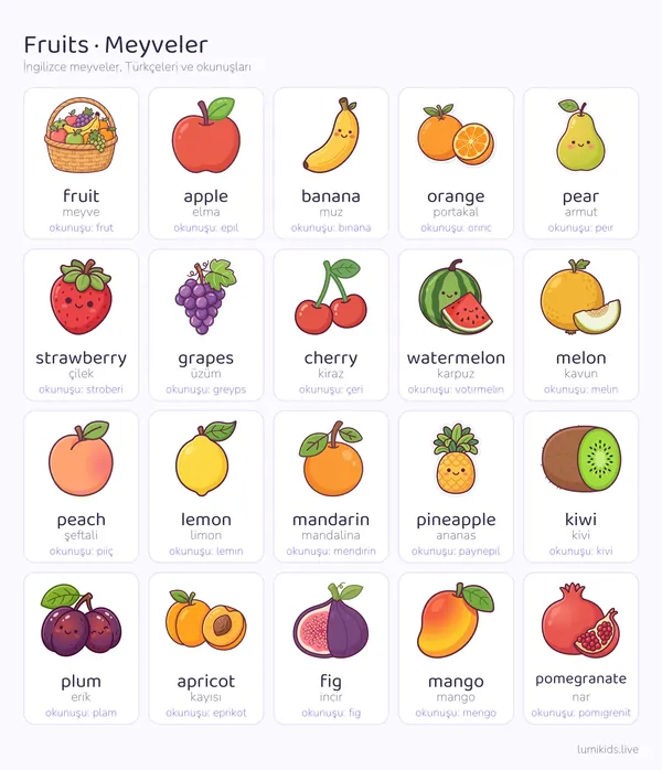İngilizce meyveler resimli tablo: fruit meyve, apple elma, banana muz, orange portakal, pear armut, strawberry çilek, grapes üzüm, cherry kiraz, watermelon karpuz, melon kavun, peach şeftali, lemon limon, mandarin mandalina, pineapple ananas, kiwi kivi, plum erik, apricot kayısı, fig incir, mango mango, pomegranate nar