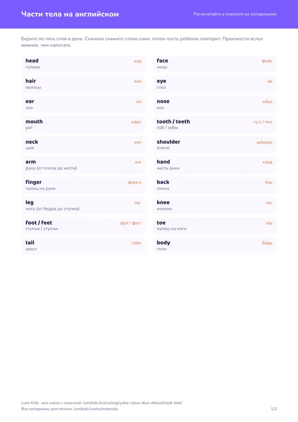 Части тела на английском: первая страница PDF