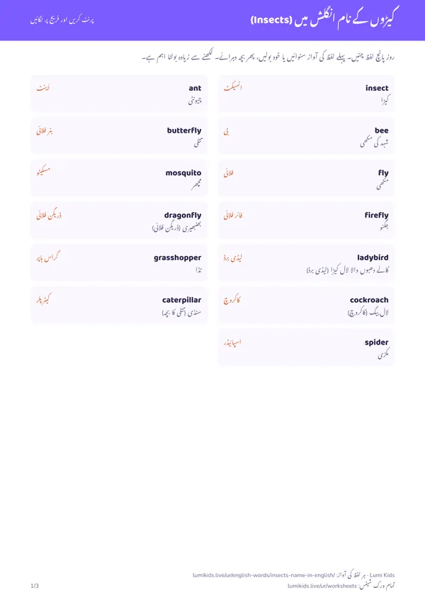 کیڑوں کے نام انگلش میں (Insects): PDF کا پہلا صفحہ